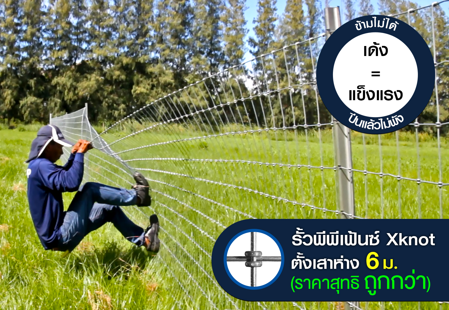 รั้วตาข่าย พีพีเฟ้นซ์ ปีนยากที่สุด